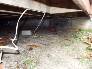 Carrs Tavern 065