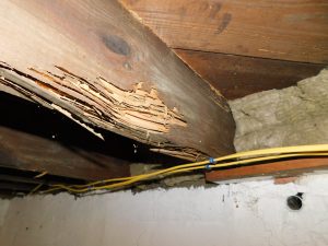 Intense Termite Damage In An Old Restored Home Monmouth County NJ 