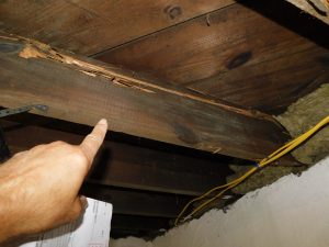 Termite Damage In A Restored Home Monmouth County NJ 